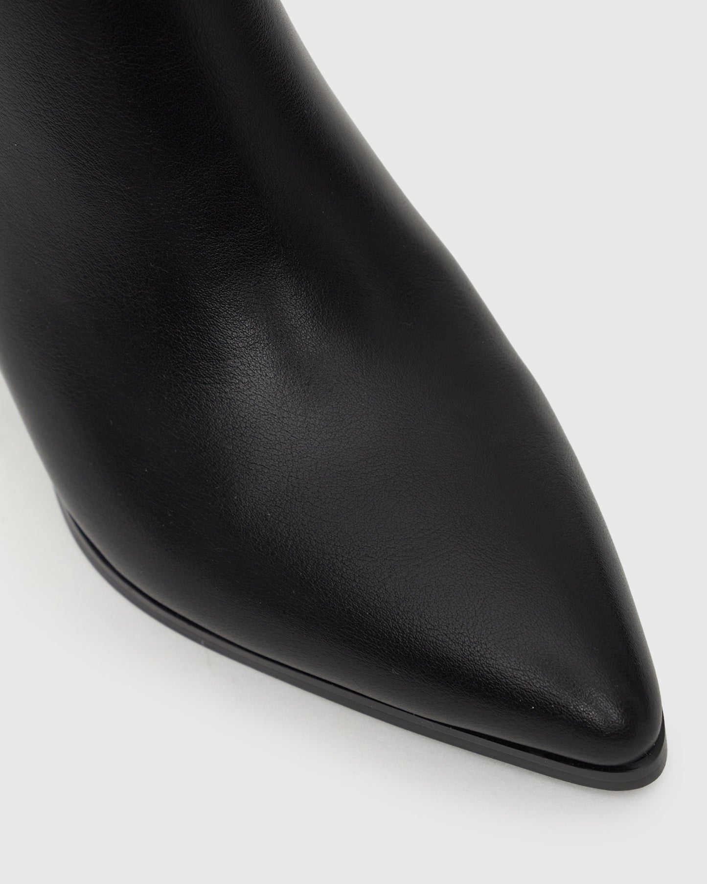 PRE-ORDER MAX Pointed Toe Ankle Boots